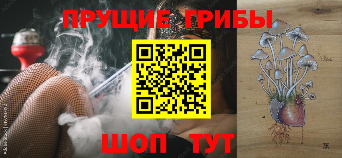 Псилоцибиновые грибы прущие грибы  Вход с VPN  Усинск 